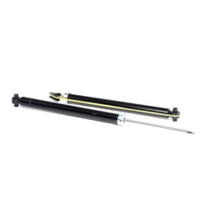 Shock Absorber - RIDEX 854S1993