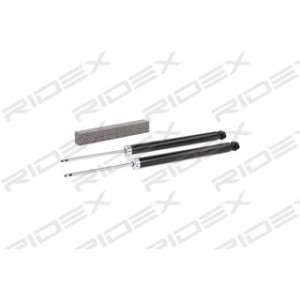 Shock Absorber - RIDEX 854S1993