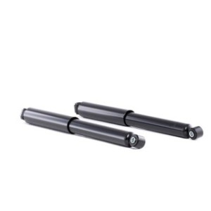 Shock Absorber - RIDEX 854S2022