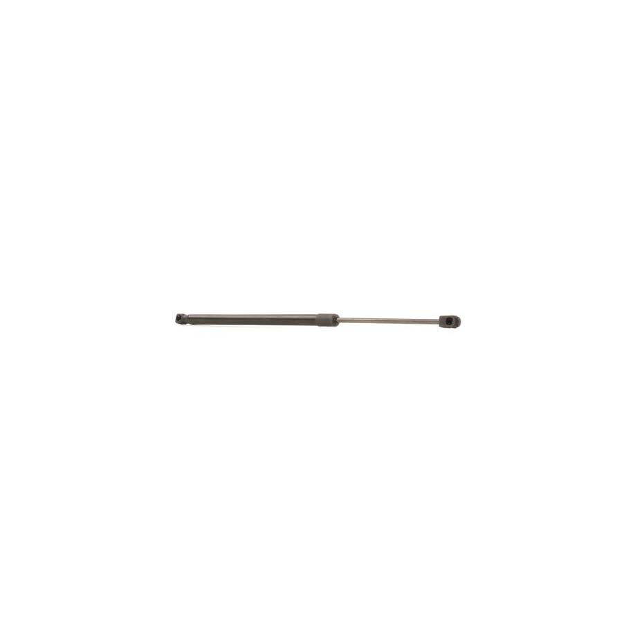 Tailgate Strut - RIDEX 219G0778