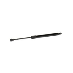Tailgate Strut - RIDEX 219G0783