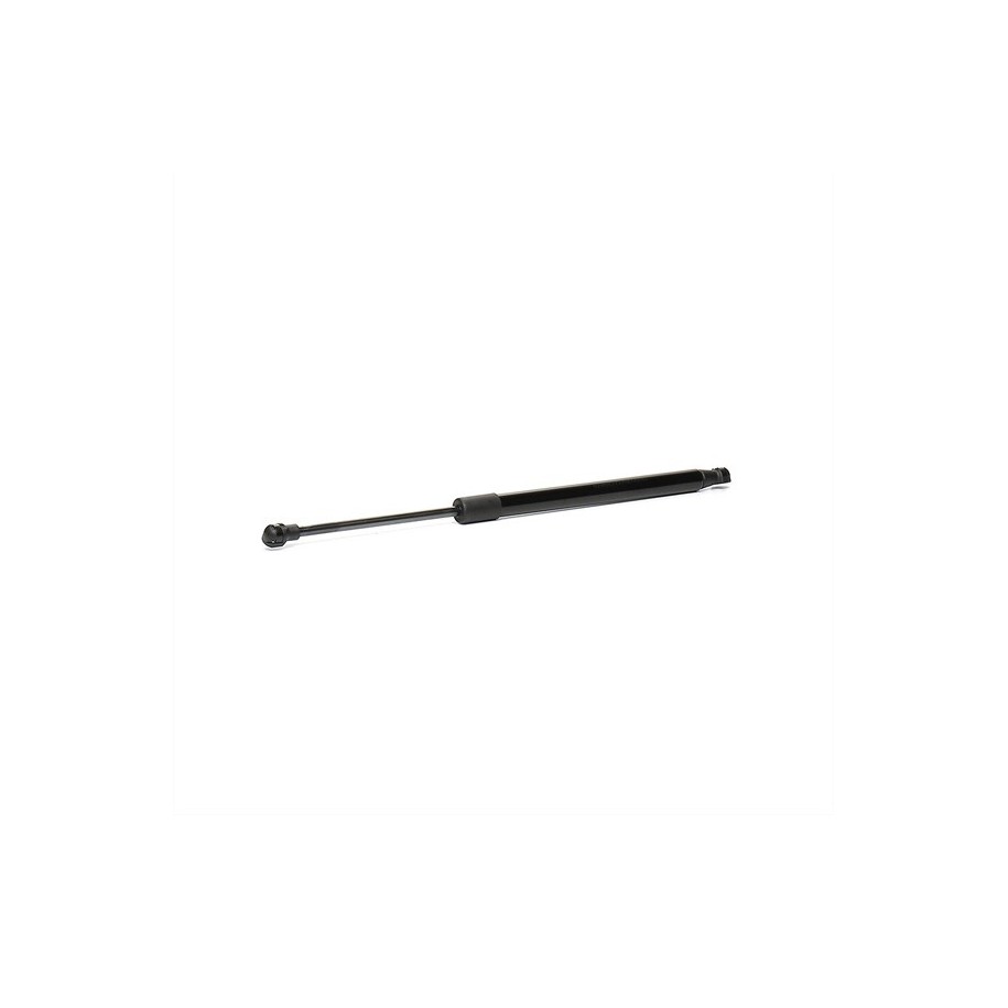 Tailgate Strut - RIDEX 219G0783