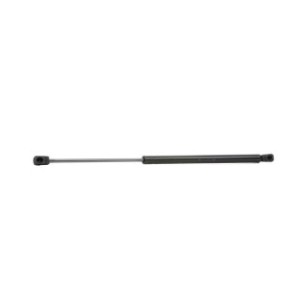 Tailgate Strut - RIDEX 219G0784