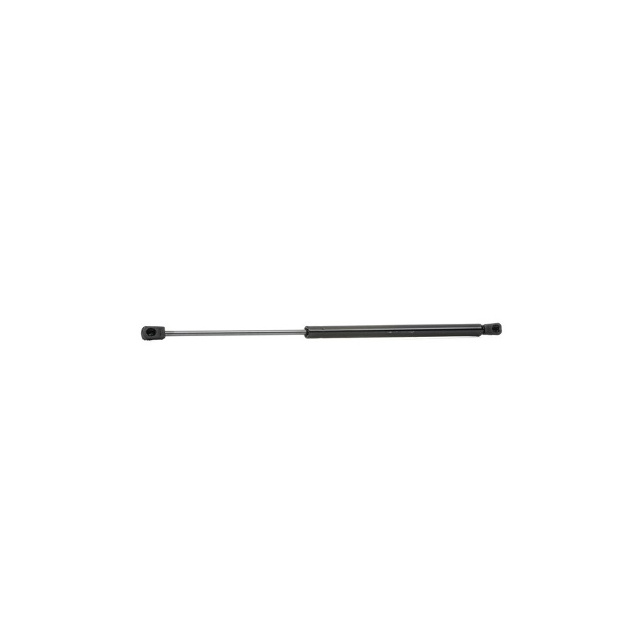 Tailgate Strut - RIDEX 219G0784