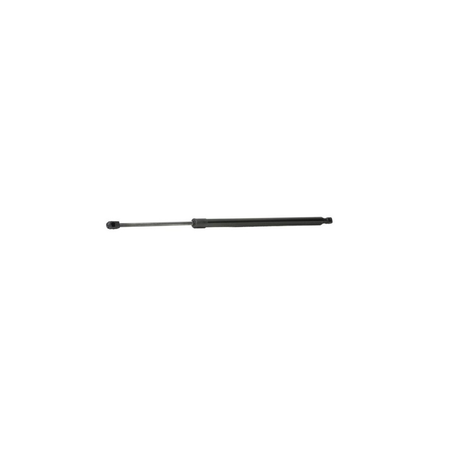 Tailgate Strut - RIDEX 219G0789