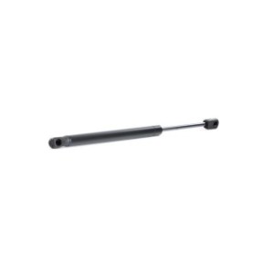 Tailgate Strut - RIDEX 219G0793