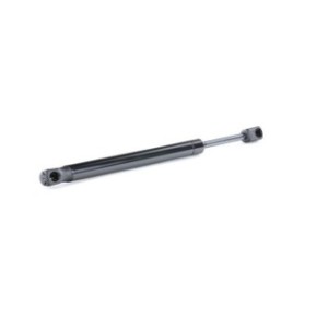 Tailgate Strut - RIDEX 219G0795