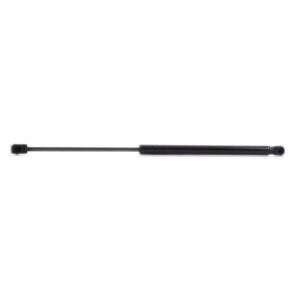 Tailgate Strut - RIDEX 219G0796