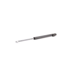 Tailgate Strut - RIDEX 219G0802
