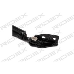 Tailgate Strut - RIDEX 219G0802