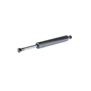 Tailgate Strut - RIDEX 219G0806