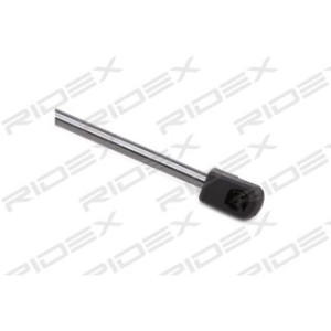 Tailgate Strut - RIDEX 219G0809