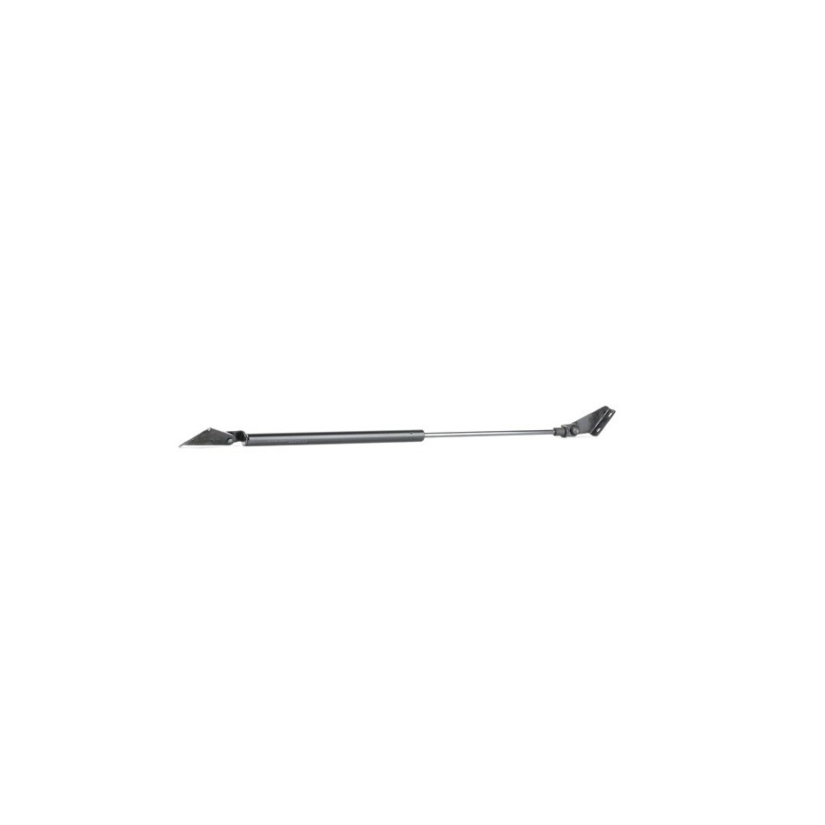 Tailgate Strut - RIDEX 219G0812