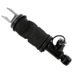 Buy Cab Suspension Shock Absorber SACHS 319864 4352388M2