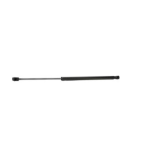 Tailgate Strut - RIDEX 219G0814