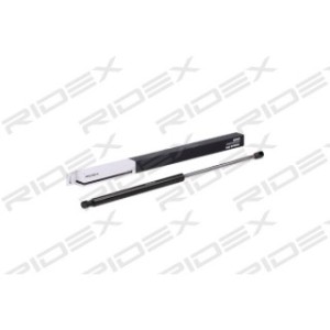 Tailgate Strut - RIDEX 219G0816