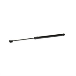 Tailgate Strut - RIDEX 219G0818