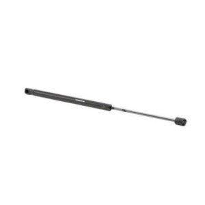 Tailgate Strut - RIDEX 219G0823