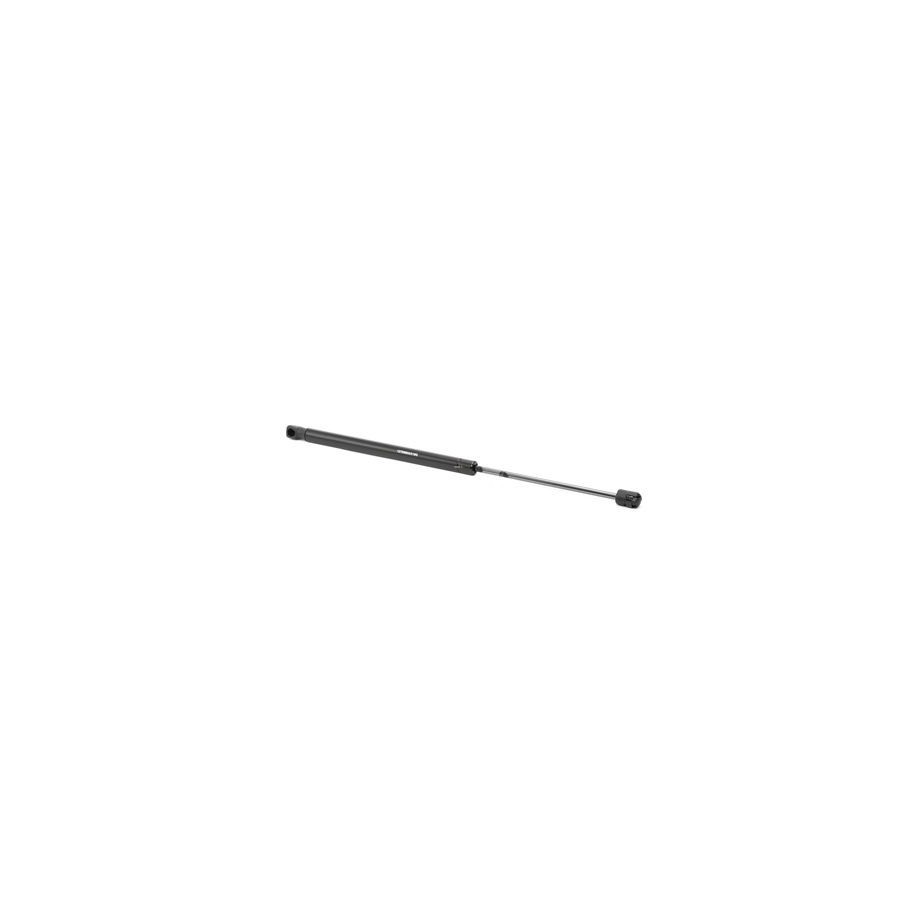 Tailgate Strut - RIDEX 219G0823