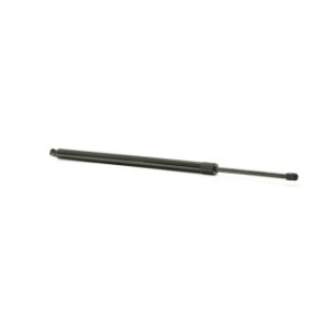 Tailgate Strut - RIDEX 219G0824