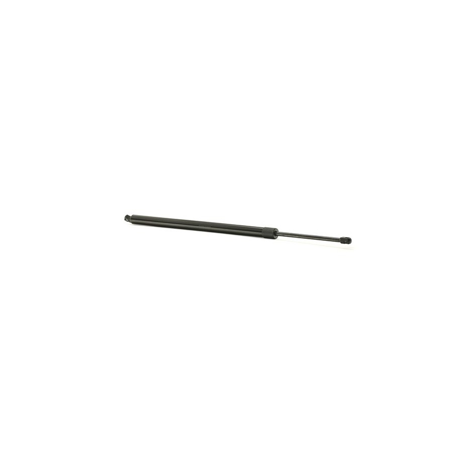 Tailgate Strut - RIDEX 219G0824