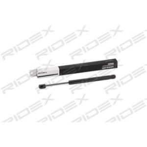 Tailgate Strut - RIDEX 219G0825