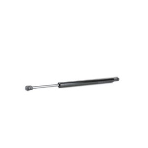 Tailgate Strut - RIDEX 219G0826