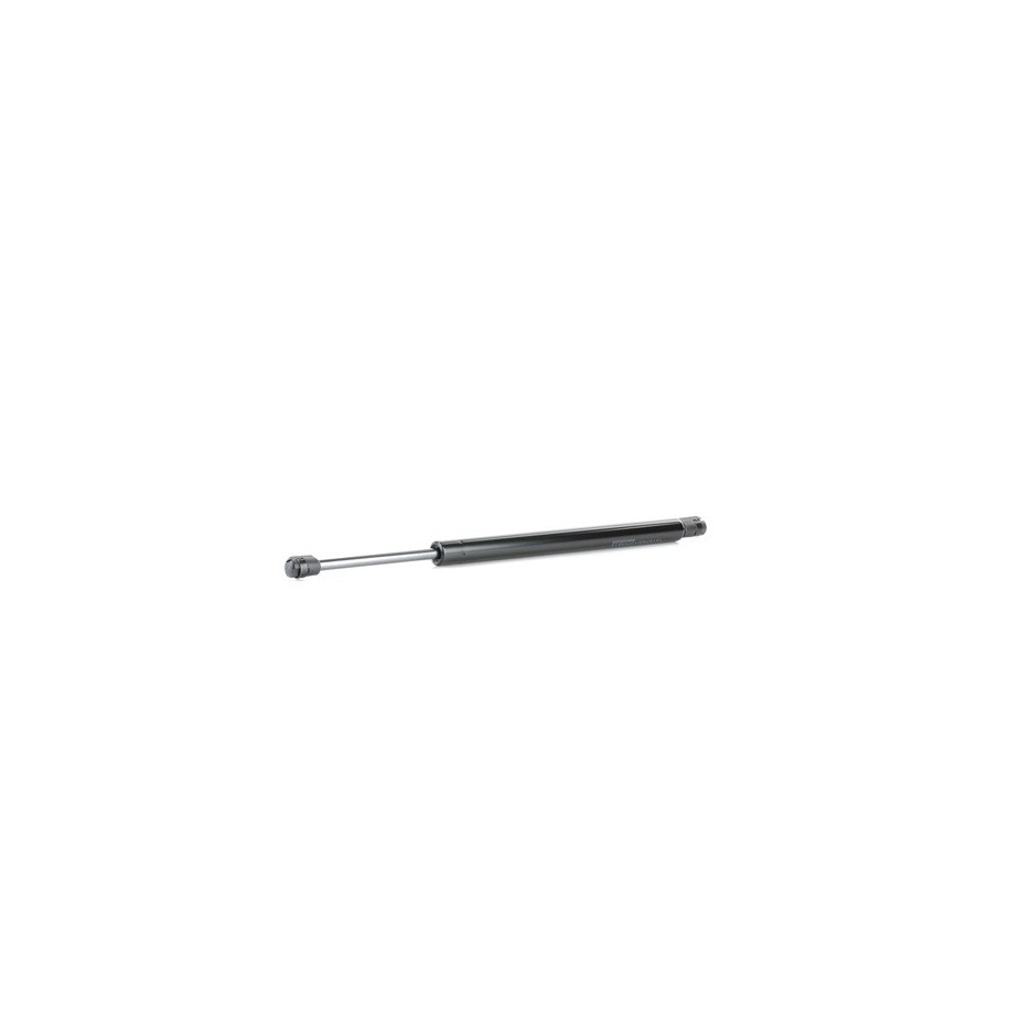Tailgate Strut - RIDEX 219G0826
