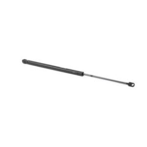 Tailgate Strut - RIDEX 219G0828