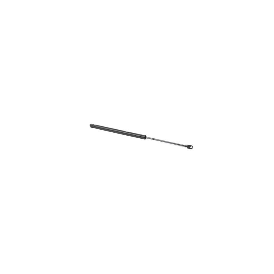 Tailgate Strut - RIDEX 219G0828