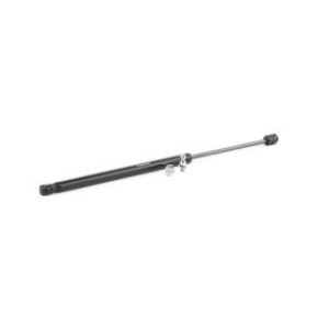Tailgate Strut - RIDEX 219G0831