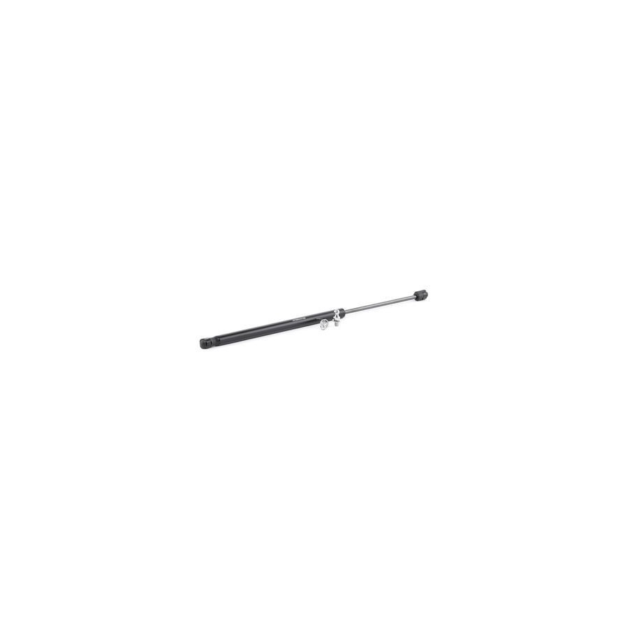 Tailgate Strut - RIDEX 219G0831