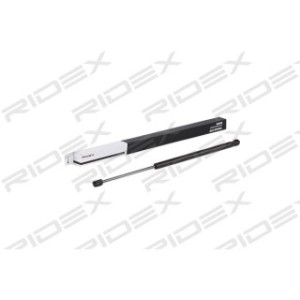 Tailgate Strut - RIDEX 219G0831