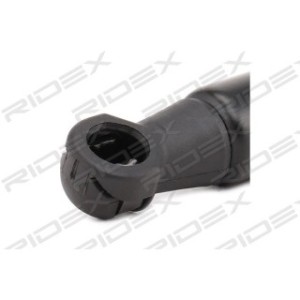 Tailgate Strut - RIDEX 219G0831