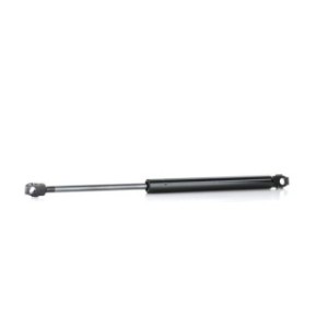 Bonnet Gas Spring - RIDEX 514G0072