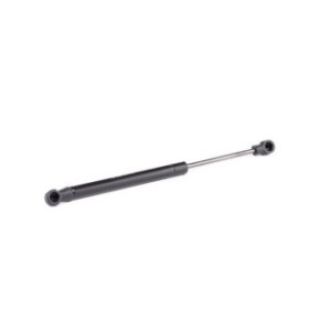 Bonnet Gas Spring - RIDEX 514G0073