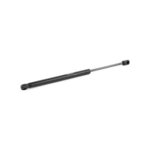 Bonnet Gas Spring - RIDEX 514G0089