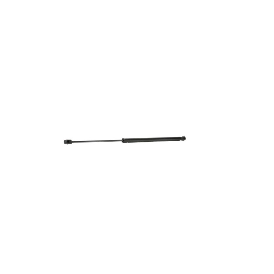 Tailgate Strut - RIDEX 219G0834
