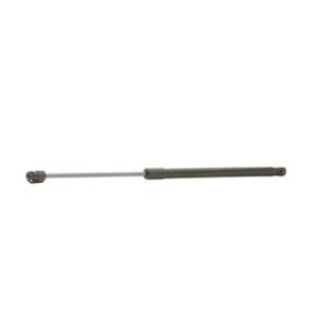 Tailgate Strut - RIDEX 219G0835