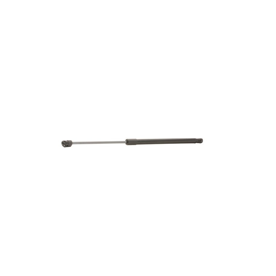 Tailgate Strut - RIDEX 219G0835