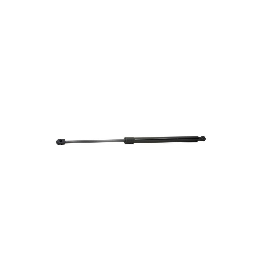 Tailgate Strut - RIDEX 219G0838