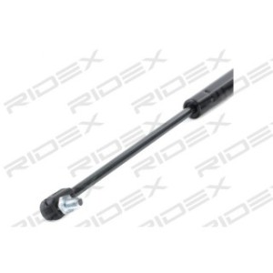 Tailgate Strut - RIDEX 219G0841