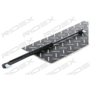 Tailgate Strut - RIDEX 219G0841