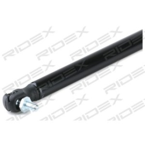 Tailgate Strut - RIDEX 219G0841