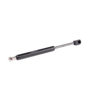 Tailgate Strut - RIDEX 219G0842