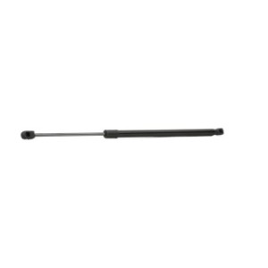Tailgate Strut - RIDEX 219G0844