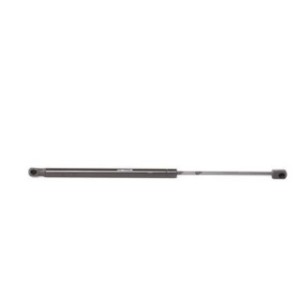 Tailgate Strut - RIDEX 219G0845