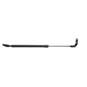 Tailgate Strut - RIDEX 219G0846