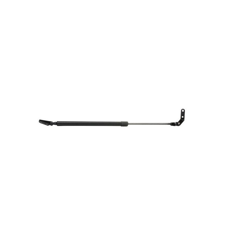 Tailgate Strut - RIDEX 219G0846