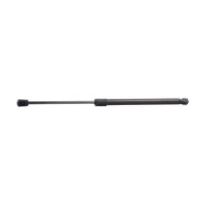 Tailgate Strut - RIDEX 219G0849